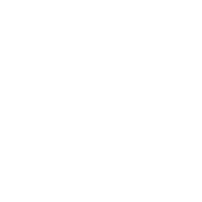 Portfolio 28 eael-fg-video-play-icon